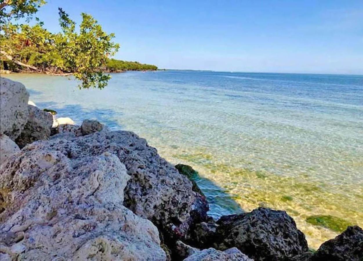 Sea Mist - Oceanfront-Lake-Kayak-Paddleboard-Bike Key Largo Exteriör bild
