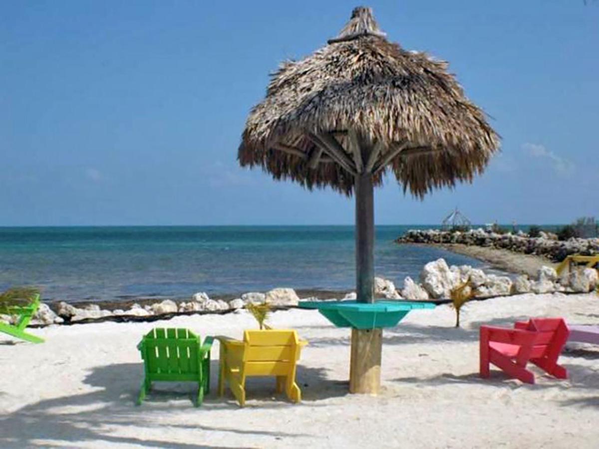 Sea Mist - Oceanfront-Lake-Kayak-Paddleboard-Bike Key Largo Exteriör bild