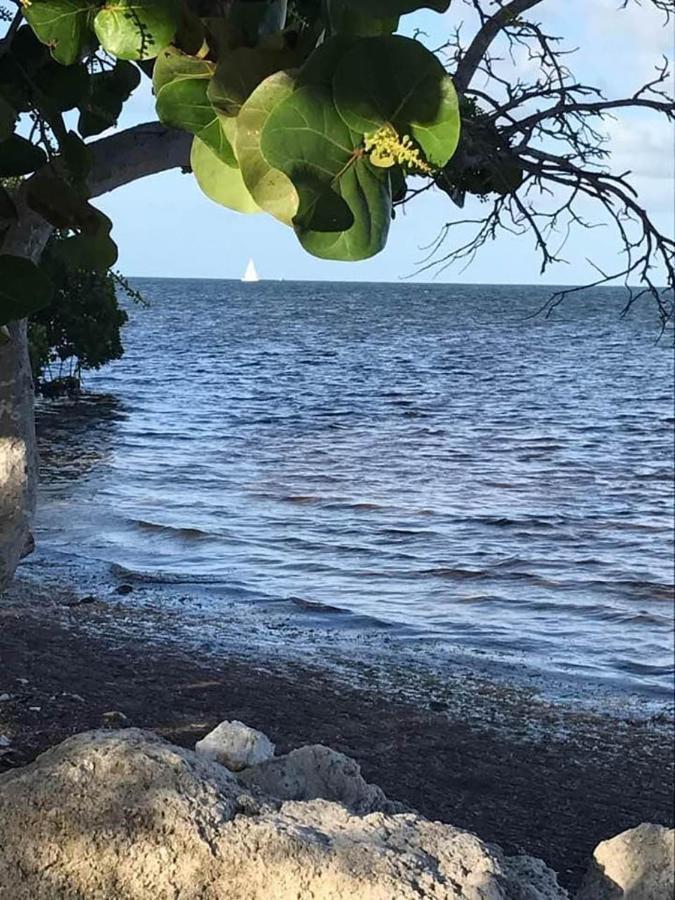 Sea Mist - Oceanfront-Lake-Kayak-Paddleboard-Bike Key Largo Exteriör bild